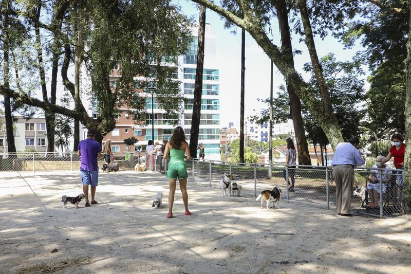 Confira as opções da cidade para brincadeiras e passeio com os pets. Foto: Hully Paiva/SMCS