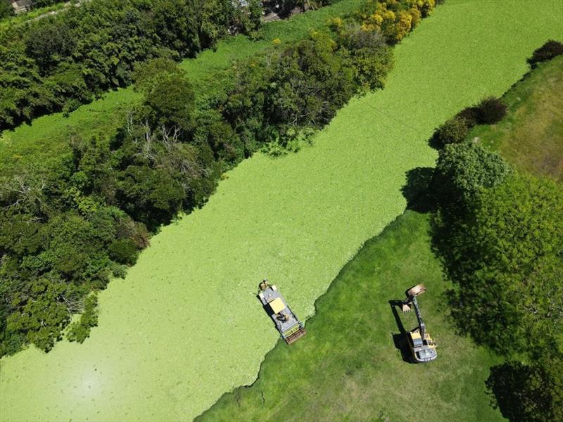 Curitiba aposta em soluções baseadas na natureza para prevenir enchentes. Foto: Divulgação