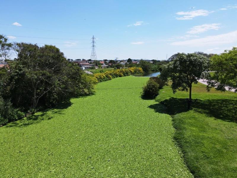 Curitiba aposta em soluções baseadas na natureza para prevenir enchentes. Foto: Divulgação