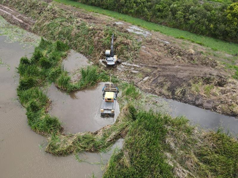 Curitiba aposta em soluções baseadas na natureza para prevenir enchentes. Foto: Divulgação