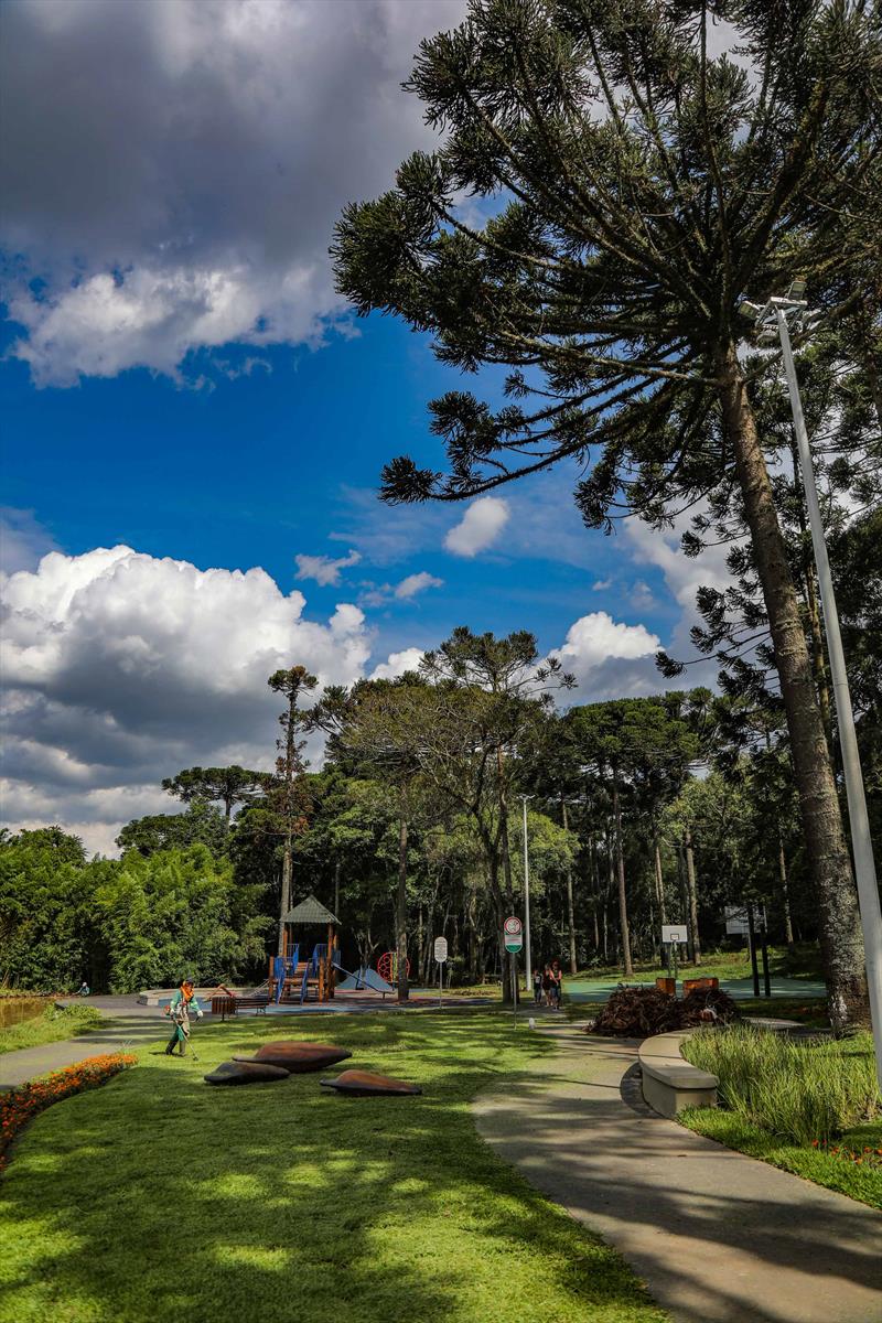 Parque Pinhal do Santana, com uma área de mata nativa tem 250 mil metros quadrados e fica na Rua Delegado Bruno de Almeida, em frente à aldeia indígena Kakané Porã, na Regional Tatuquara. - Curitiba, 06/02/2023 - Foto: Daniel Castellano / SMCS