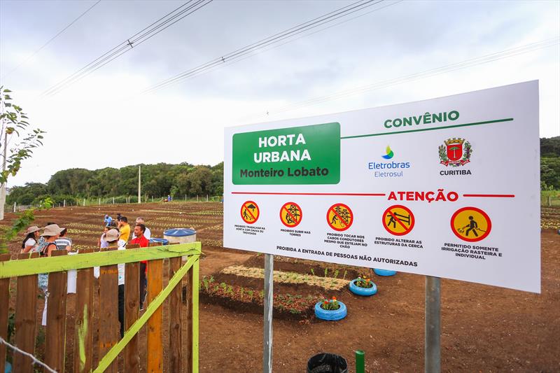 Saiba como participar de uma das 146 hortas de Curitiba. Foto: Daniel Castellano / SMCS