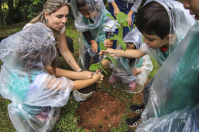 Crianças efetuam o plantio de mudas de Erva Mate no local onde funcionará a nova Fazenda Urbana da CIC.
Curitiba, 10/03/2023.
Foto: José Fernando Ogura/SMCS.