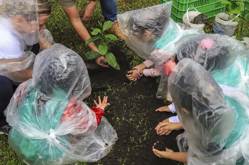 Crianças efetuam o plantio de mudas de Erva Mate no local onde funcionará a nova Fazenda Urbana da CIC.
Curitiba, 10/03/2023.
Foto: José Fernando Ogura/SMCS.