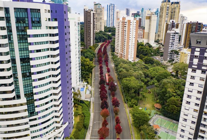 Pelo terceiro ano consecutivo, Curitiba é 2ª melhor cidade para startups do Brasil. - Foto: Daniel Castellano / SMCS