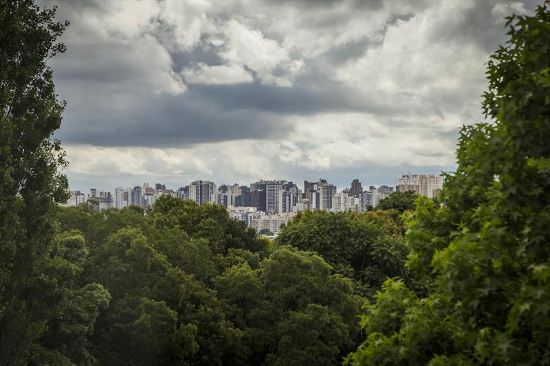Curitiba celebra o Dia Mundial do Meio Ambiente como uma das cidades mais verdes do mundo. 
Foto: Pedro Ribas/SMCS