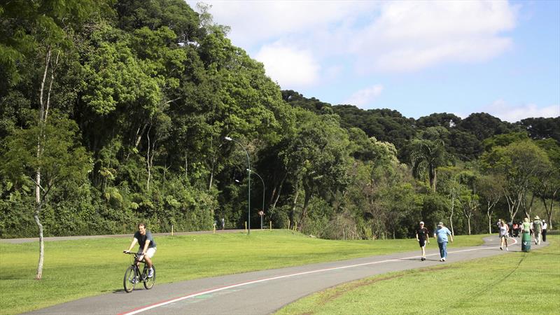 Curitiba celebra o Dia Mundial do Meio Ambiente como uma das cidades mais verdes do mundo. 
Foto:Cesar Brustolin/SMCS