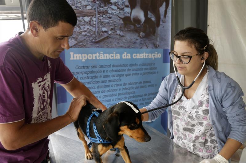 Prefeitura de Curitiba abre nesta quinta o agendamento para castração gratuita de cães e gatos.
Foto: Luiz Costa/SMCS