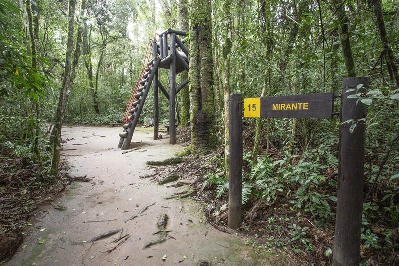 Bosque Reinhard Maack une trilha e arborismo no meio da natureza de Curitiba. 
Curitiba, 21/07/2023. Foto: Ricardo Marajó/SMCS