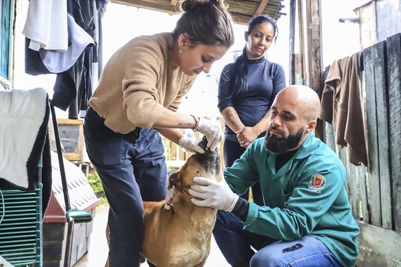 Rede de Proteção Animal promove ação clínica na Vila Divino, no Atuba.
Curitiba, 10/08/2023.
Foto: José Fernando Ogura/SMCS.