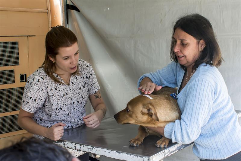 Mutirão de castração de cães e gatos Parolin.
Curitiba, 31/08/2023
Foto: Levy Ferreira/SMCS
