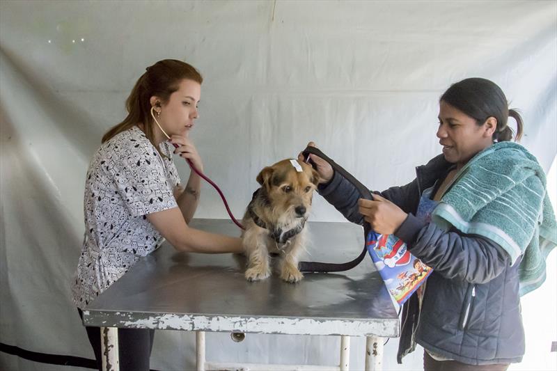 Mutirão de castração de cães e gatos Parolin.
Curitiba, 31/08/2023
Foto: Levy Ferreira/SMCS
