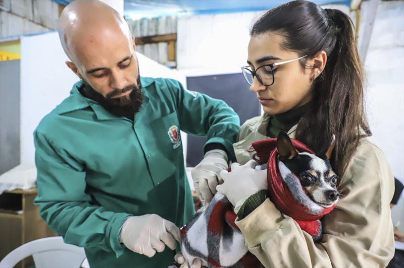 Moradores de Santa Felicidade poderão levar cães e gatos para vacinação gratuita em ação da Prefeitura de Curitiba.
Foto: José Fernando Ogura/SMCS.