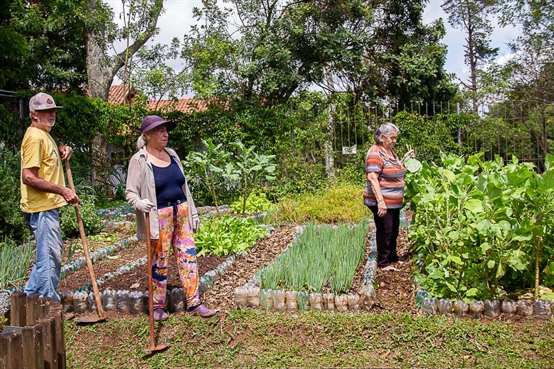 Desde 2017, a Prefeitura de Curitiba tem intensificado o apoio aos produtores das hortas urbanas.
Foto: Sandra Lima