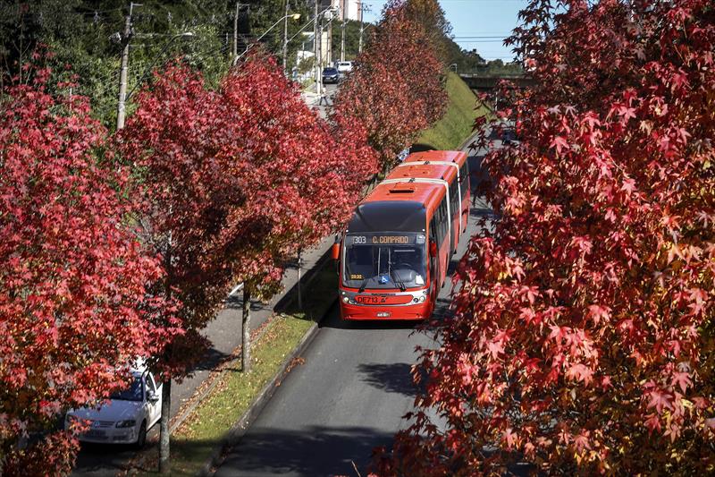 Curitiba é referência nacional e internacional em transporte público ao ser a primeira cidade a usar corredores exclusivos, as canaletas, para a circulação de ônibus.
Foto: Luiz Costa /SMCS
