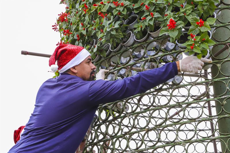 Árvore de Natal do Jardim Botânico de Curitiba ganha vida com cinco mil flores. Curitiba, 20/11/2023. Foto: Hully Paiva/SMCS