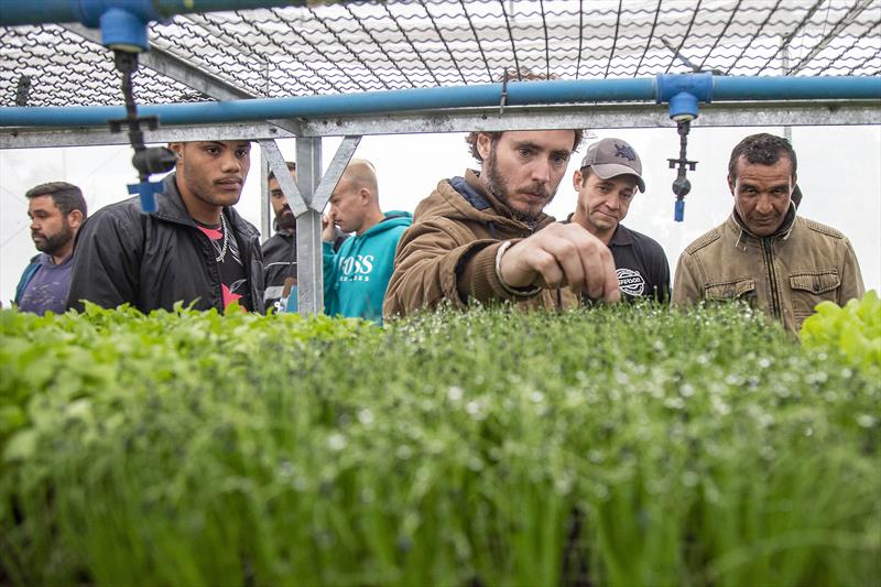 Fazenda Urbana de Curitiba ensina plantio em pequenos espaços no último curso do ano. Foto: Ricardo Marajó/SMCS