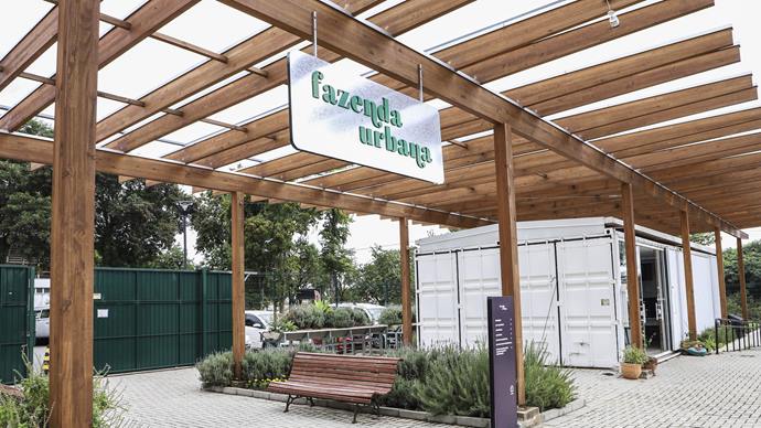Oficina grátis em Curitiba ensina a fazer horta em pequenos espaços. Foto: Hully Paiva/SMCS