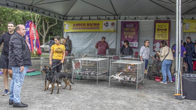 Curitiba abre inscrição de cães para primeiro evento de adoção Amigo Bicho do ano. Foto: Levy Ferreira/SMCS