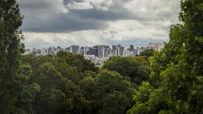 Curitiba celebra o Dia Mundial do Meio Ambiente como uma das cidades mais verdes do mundo. 
Foto: Pedro Ribas/SMCS