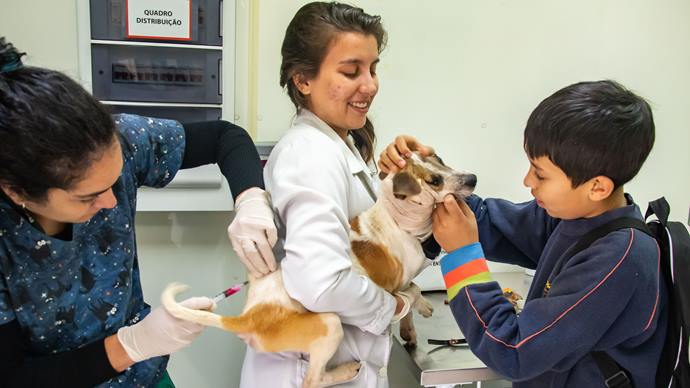Prefeitura de Curitiba abre agendamentos para ação clínica de cães e gatos na Regional Pinheirinho.
Foto: Levy Ferreira/SMCS