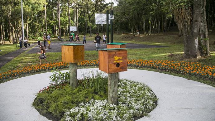 Os parques urbanos, como o Pinhal de Santana, também oferecem espaços verdes para relaxamento, colmeias do programa de polinização Jardins de Mel, quadras poliesportivas e muito mais. Foto: Pedro Ribas/SMCS