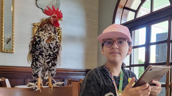 Com apoio da Prefeitura, menina autista faz tour por Curitiba acompanhada de seu galo Paçoca Gabigol. Foto: Divulgação