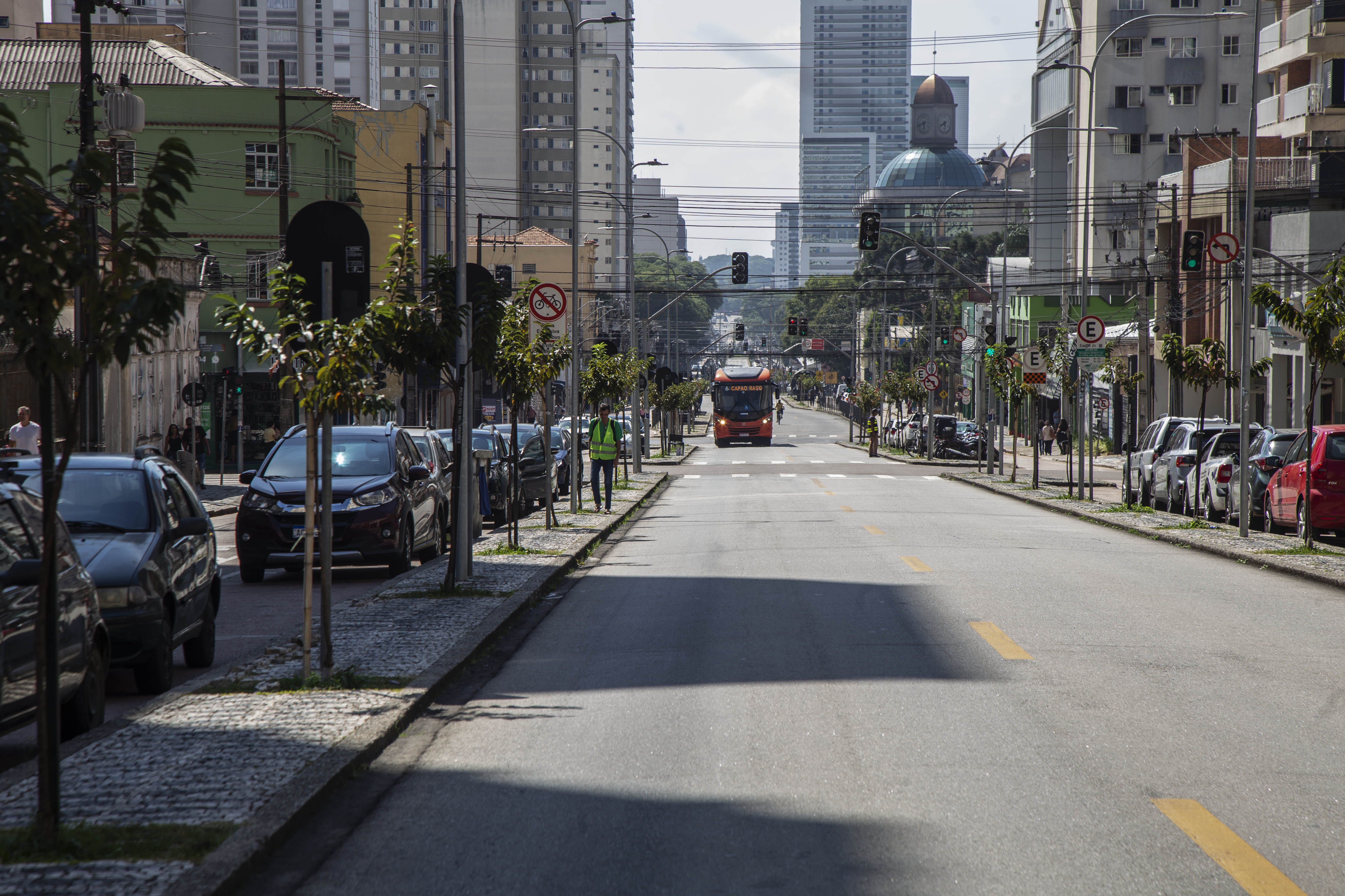 Cerejeiras crescem para deixar mais bonita a Avenida Sete de Setembro ...