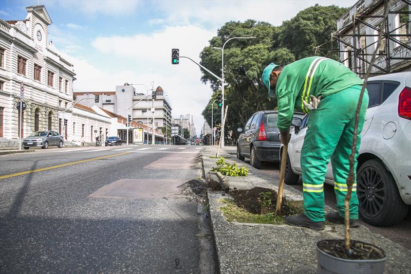 Prefeitura faz replantio para compensar supressões de árvores por conta de obras do Inter 2. Foto: Pedro Ribas/SMCS
