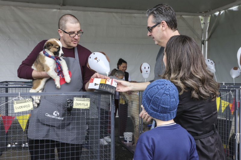 Parque Rio Bonito do Tatuquara vai receber o primeiro evento do ano de adoção gratuita de cães de Curitiba. Foto: Hully Paiva/SMCS