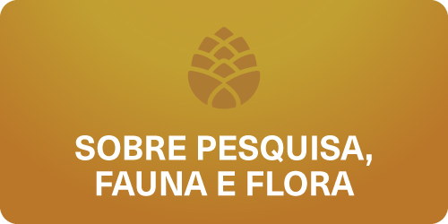 Pesquisa Fauna e Flora