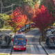 Curitiba tem o melhor sistema de ônibus que ele já viu!