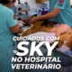 Cuiados com a Sky!