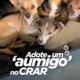 É tão lindo!