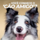Alegria, educação e muito carinho em quatro patas!