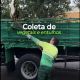 Tem resíduos vegetais ou pequenos entulhos para descartar? Solicite a coleta gratuita pelo 156.?