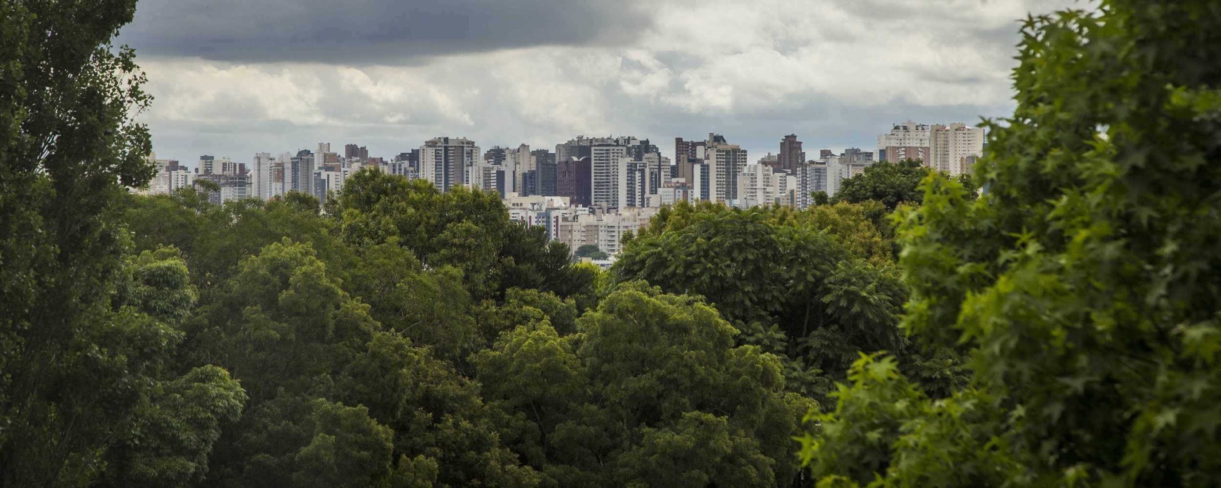 Dia do Meio Ambiente: Curitiba é conhecida mundialmente pela