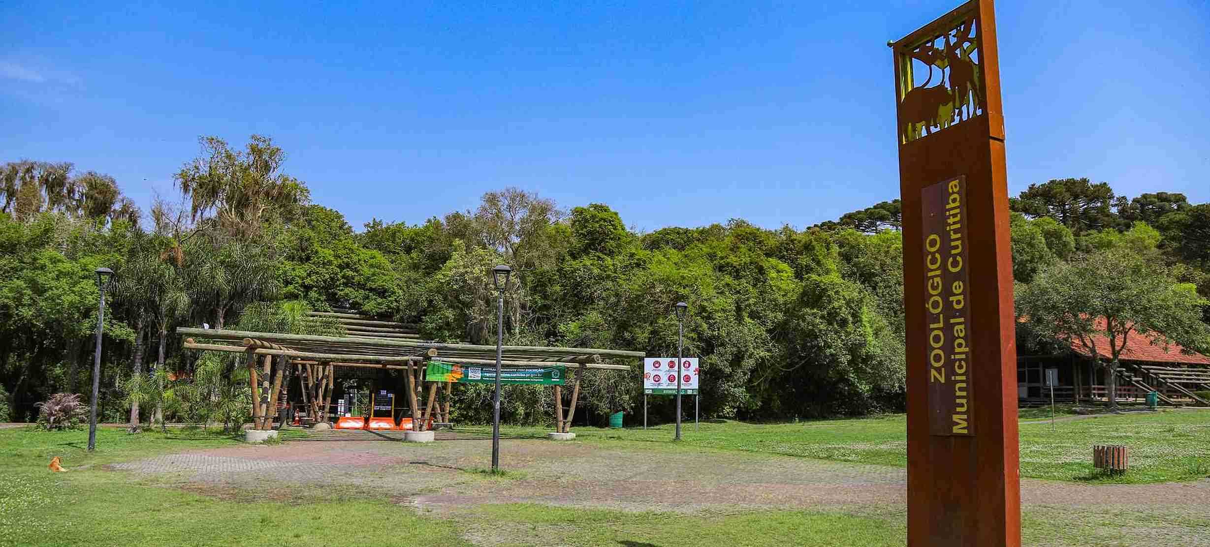 Dia do Meio Ambiente: Curitiba é conhecida mundialmente pela