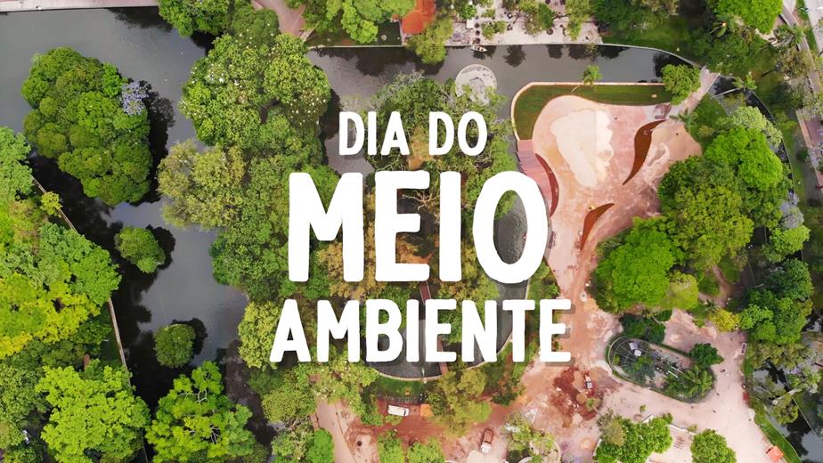 Dia do Meio Ambiente: Curitiba é conhecida mundialmente pela